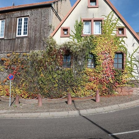 Suedpfalz Barbelroth Bagian luar foto